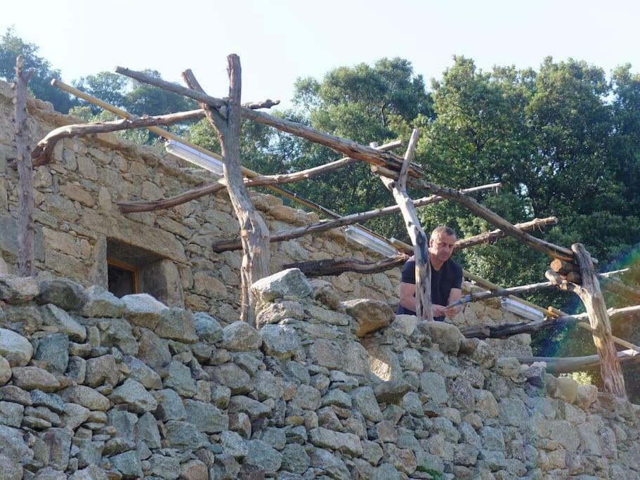 Les Bergeries "Le Figuier" Hotel Omessa Exterior photo