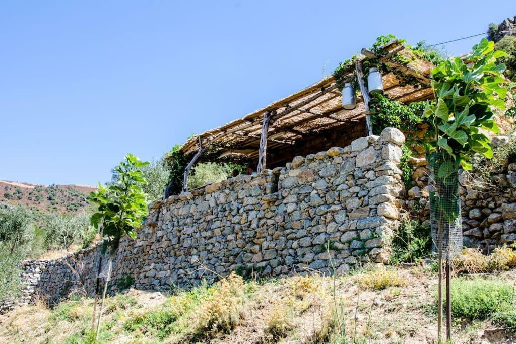 Les Bergeries "Le Figuier" Hotel Omessa Exterior photo