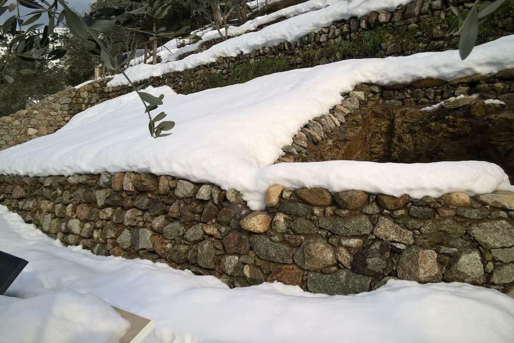 Les Bergeries "Le Figuier" Hotel Omessa Exterior photo