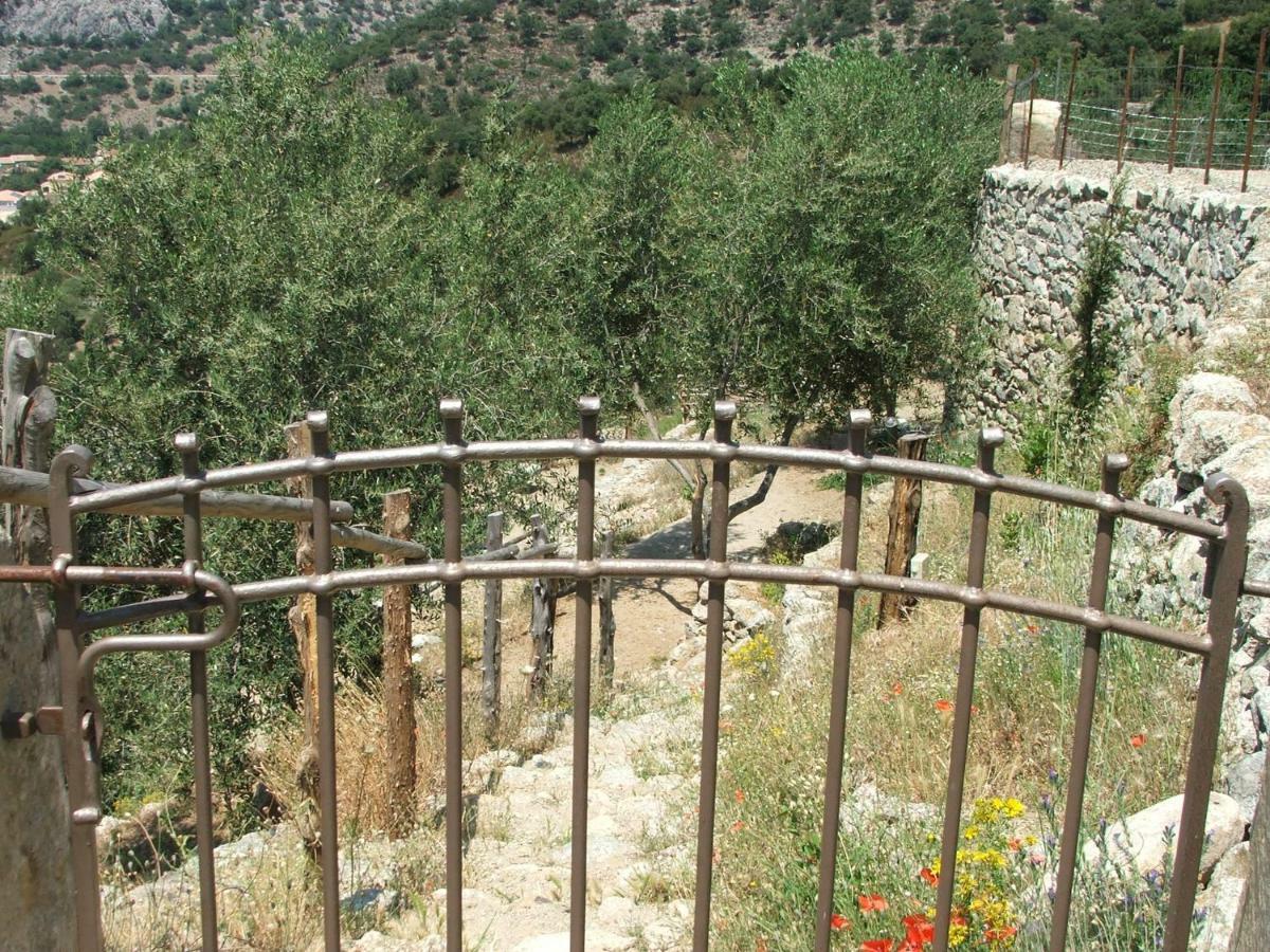 Les Bergeries "Le Figuier" Hotel Omessa Exterior photo