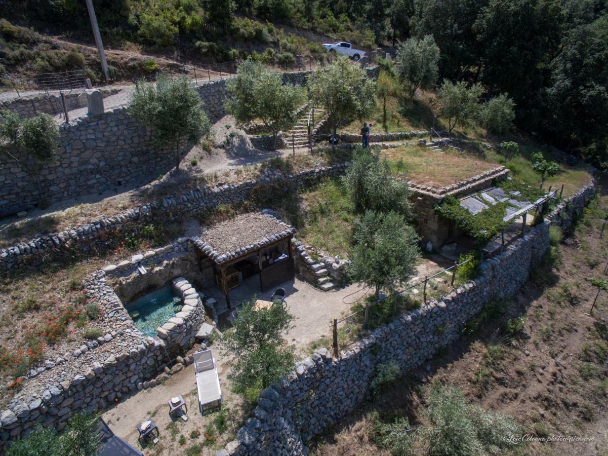 Les Bergeries "Le Figuier" Hotel Omessa Exterior photo