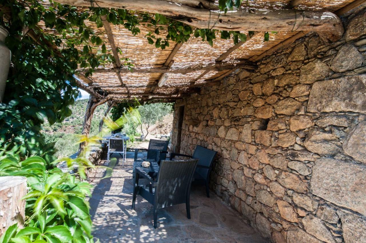 Les Bergeries "Le Figuier" Hotel Omessa Exterior photo