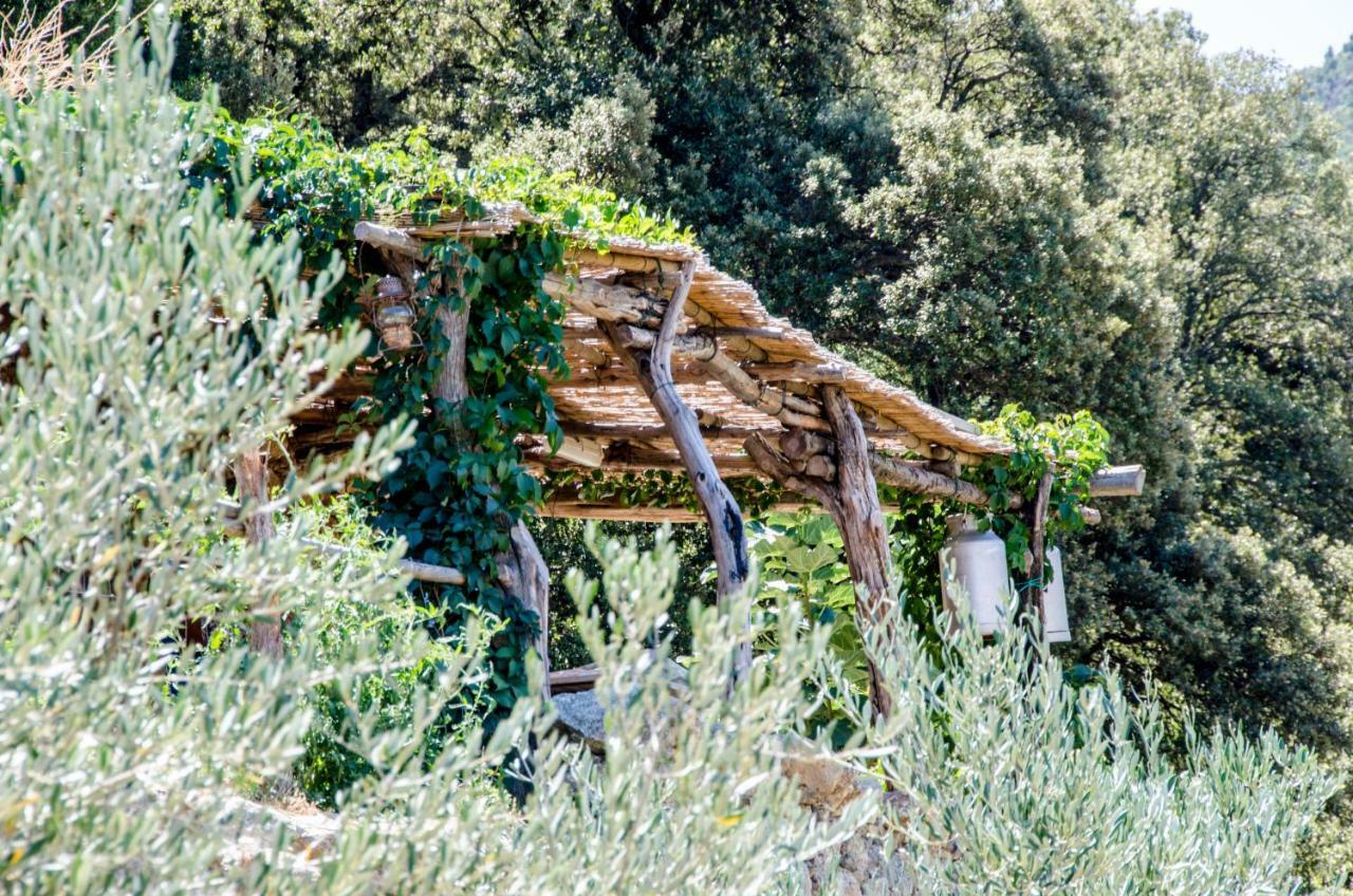 Les Bergeries "Le Figuier" Hotel Omessa Exterior photo